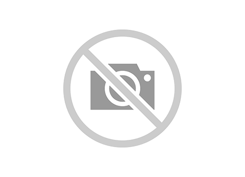 JJ290-19306-00 - JUMBO JJ RING ASSEMBLY : 